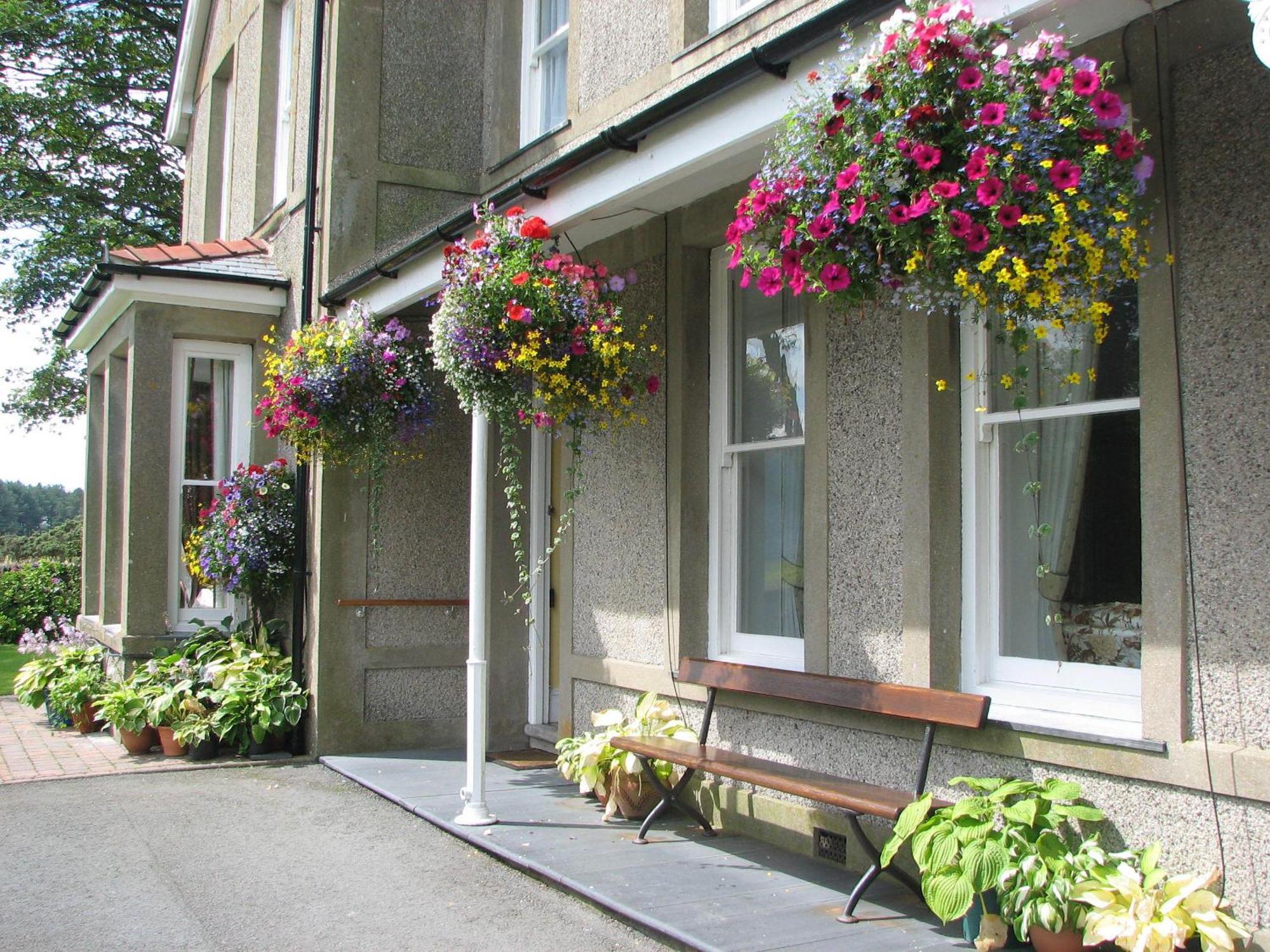 Gwrach Ynys Country Guest House Harlech Ngoại thất bức ảnh
